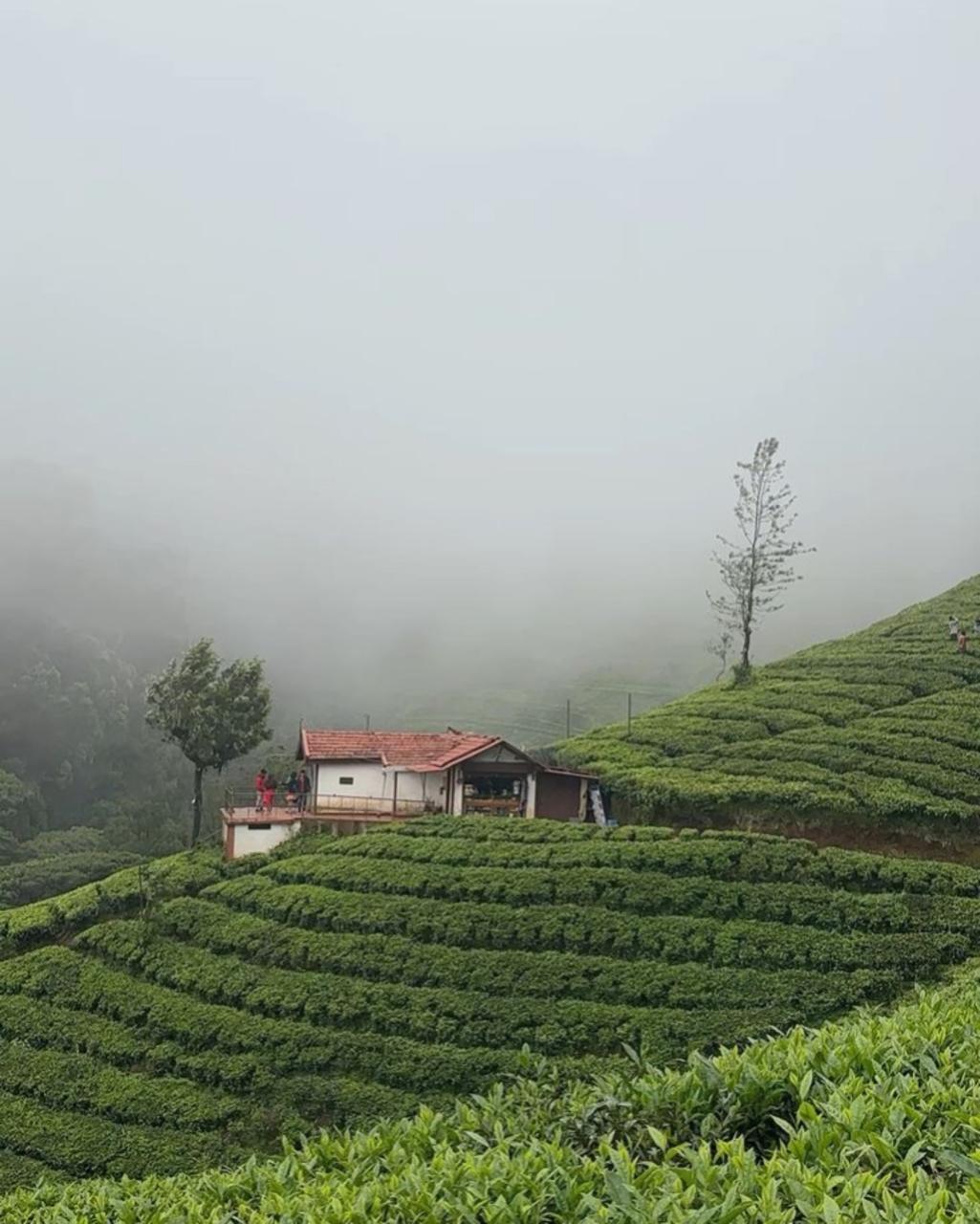 whatsapp image 2026 02 05 at 8.05.29 pm