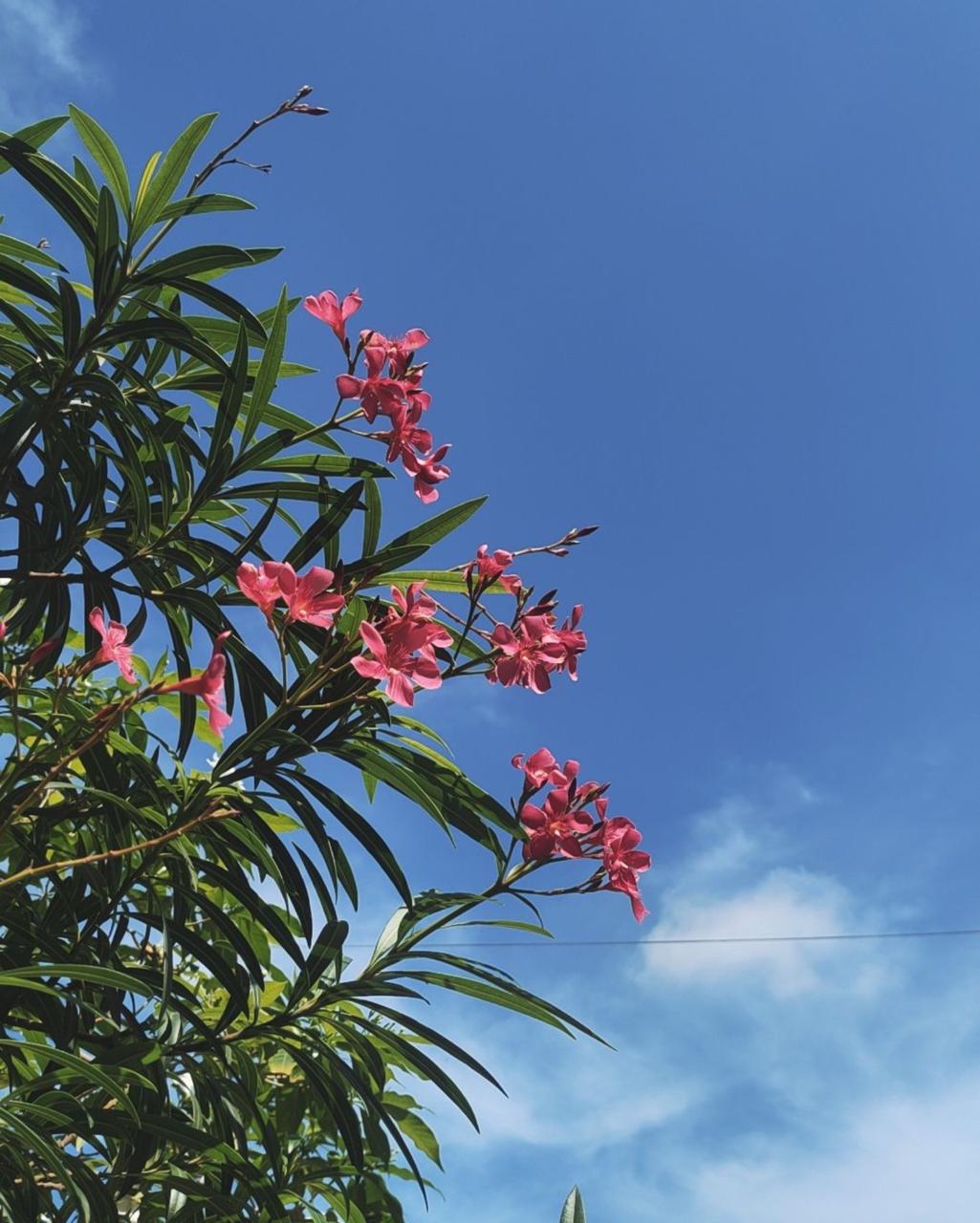 whatsapp image 2026 02 05 at 8.06.11 pm