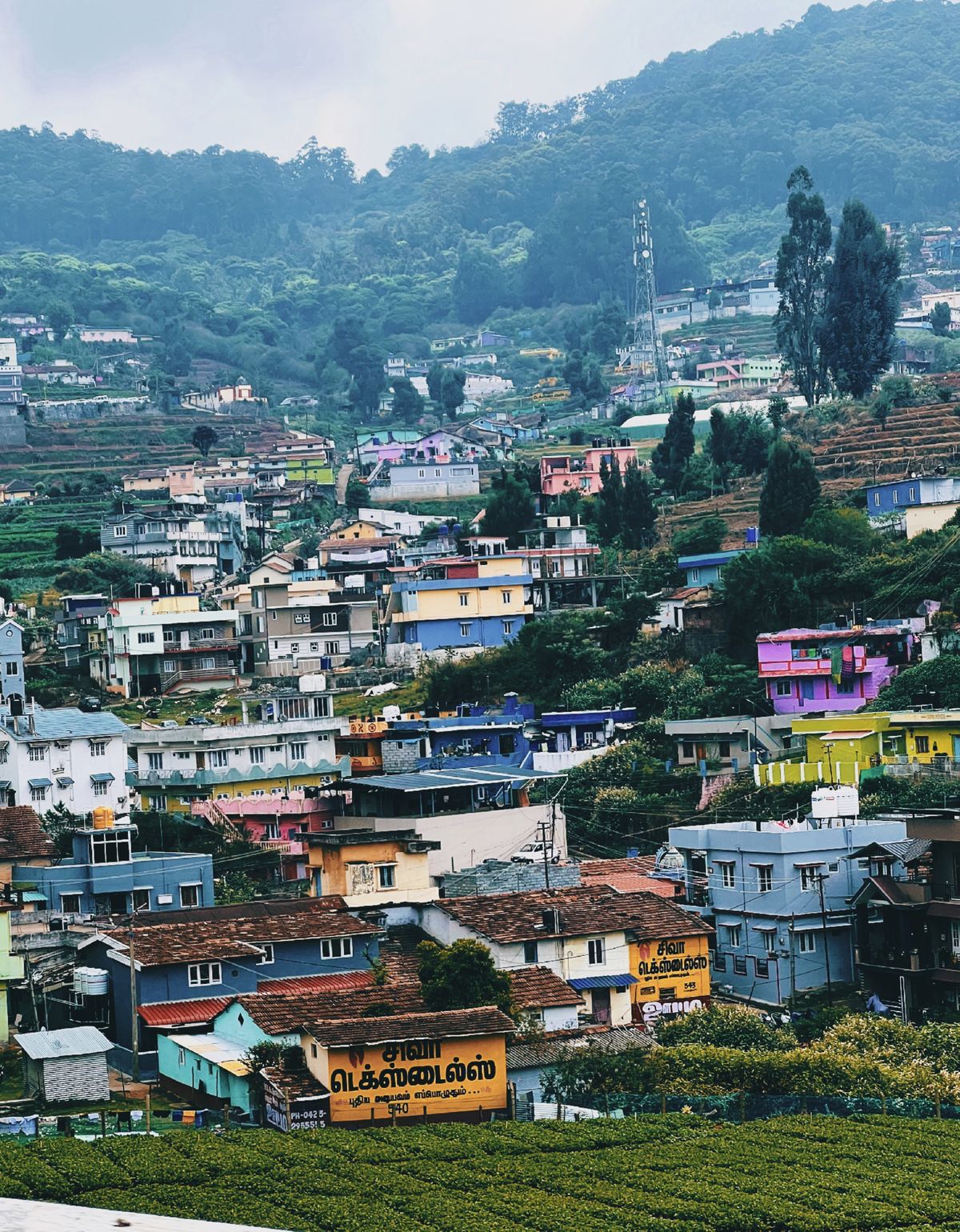 whatsapp image 2026 02 05 at 8.08.59 pm